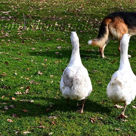 Montagnola Abruzzo Casalanguida
