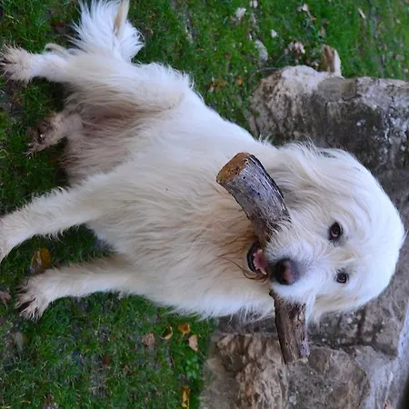 Gospodarstwo agroturystyczne Montagnola Abruzzo *