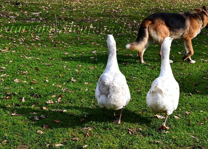 Montagnola Abruzzo Casalanguida