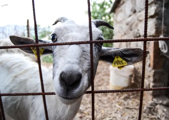 Alloggio per agriturismo Montagnola Abruzzo Casalanguida