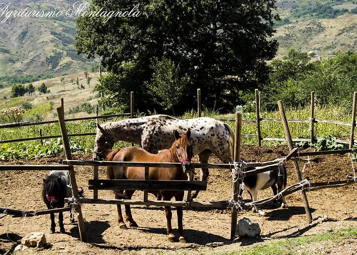 Montagnola Abruzzo Alloggio per agriturismo Casalanguida