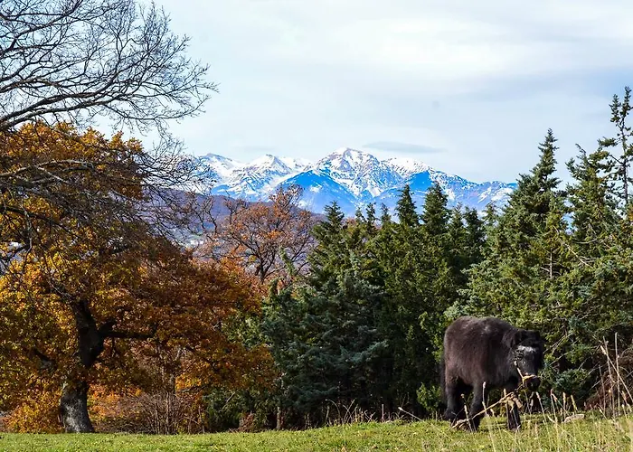 Alloggio per agriturismo Montagnola Abruzzo