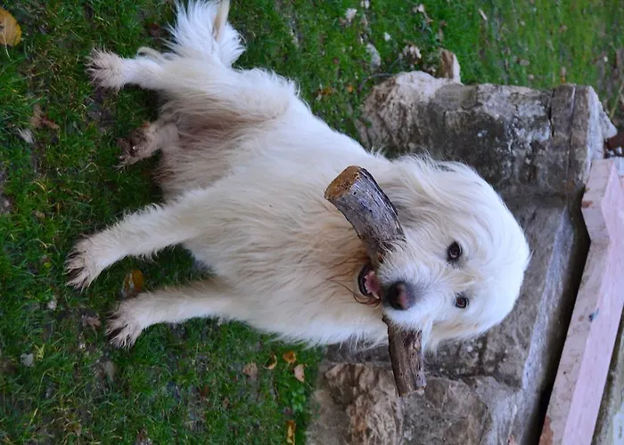 Alloggio per agriturismo Montagnola Abruzzo *